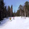 Aufstieg in der Lahti-Loipe
