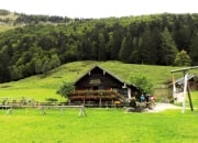 Bild vergrößern Bild vergrößern