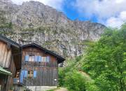 Bild vergr��ern