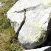 Giftige Wiesenotter auf einem Stein
