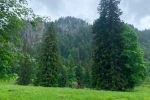 Blick zur Benediktenwand
