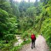 Auf dem Wildbachlehrpfad
