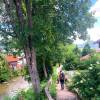 Am S�llbach in Abwinkel
