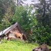 Ziegen an der H�tte
