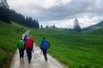 Weg zur Seekaralm
