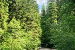 Blick �ber den S�llbach
