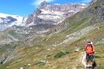 Weg zum Lacs des Loziéres
Weg zum Lacs des Loziéres