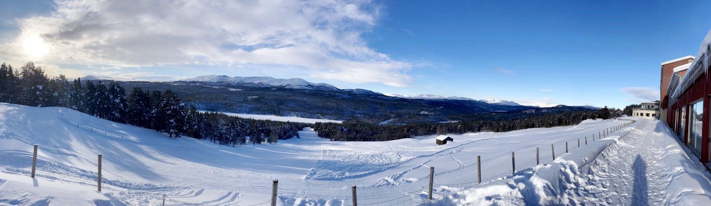 Panoramabild vergr��ern