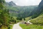 Blick zur Putzentalalm
Blick zur Putzentalalm