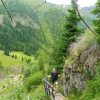 Auf dem Heinrich Baudisch Steig
Auf dem Heinrich Baudisch Steig