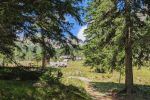 An der Grafenalm
An der Grafenalm