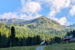 Auf der Grafenalm
Auf der Grafenalm