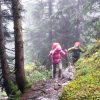 Weg im Hochwald
 Weg im Hochwald