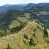 Blick zur Sattelalm
 Blick zur Sattelalm