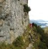 Weg unterhalb des Schmittenstein
 Weg unterhalb des Schmittenstein