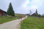 Auf der Wiesleralm
 Auf der Wiesleralm