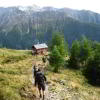 Blick zur Lesach-Riegel-Hütte
