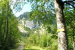 Auf dem Alpe-Adria-Tral
