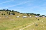 Auf der Mali Planina
