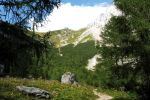 Felsen am Wegrand
