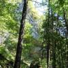 Fels�berh�nge am Weg
